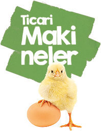 ticari kuluçka makineleri