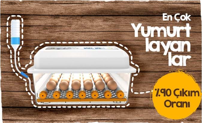 En Çok Yumurtlayan Kuluçka Makineleri