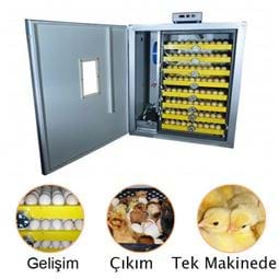 500 hindi kuluçka makineesi